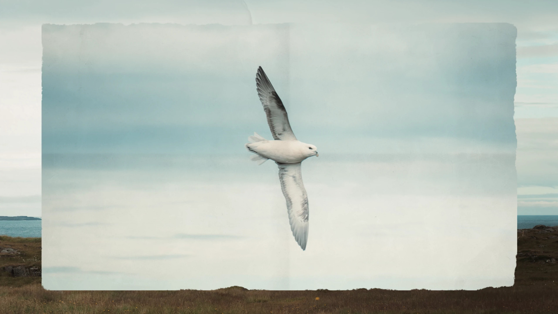 L’été du Grand Nord still 6